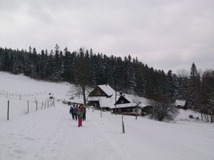 100_8390