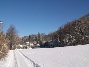 100_8435